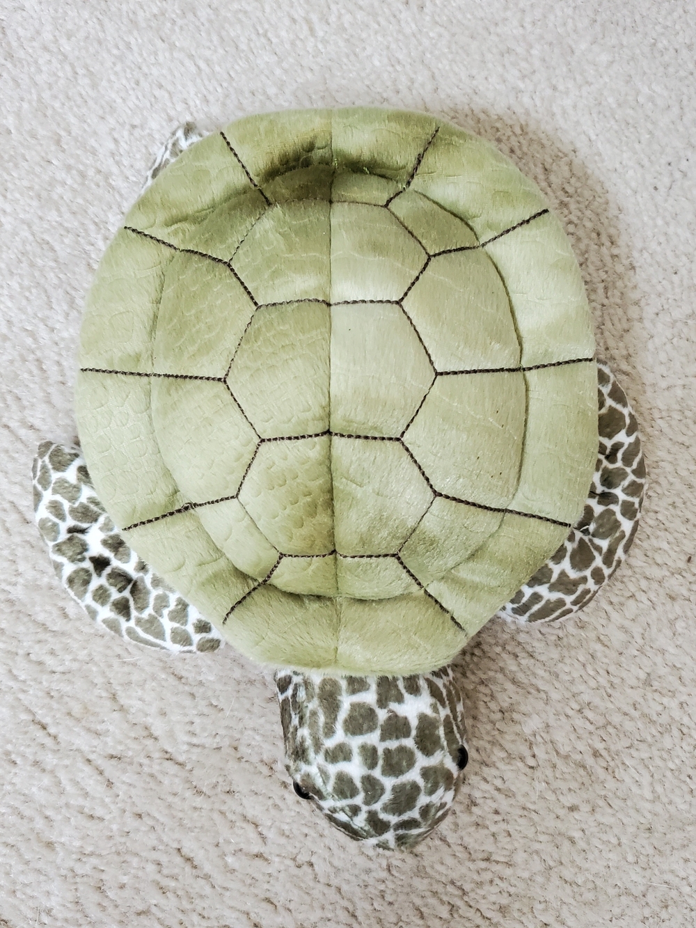 Douglas Cuddle Toy Pebbles Sea Turtle